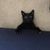 Stormy Poulin's profile image
