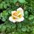 Kathy Jeffers's profile image