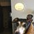 Pam Lenhart's profile image