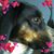 Beth Jensen Bilyou's profile image