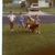 Dave G Noll's profile image