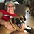 Linda Kaiser Tscheiner's profile image