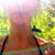 Courtney Smith's profile image