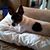 Pam Lamb's profile image