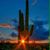 Kathy Schutt's profile image