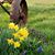 Melissa S. Stewart's profile image