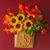 Nancy Dillard Barker's profile image