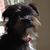 Walt Eilers's profile image