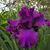 Dawn Baird's profile image