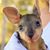 Paula Lintz's profile image