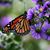 Peggy Rabe's profile image