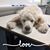 Terri Marvel Wible's profile image