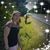 Lauren Kate's profile image