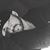 Mundo Deleon's profile image