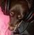 Amy Stahl's profile image