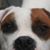 Jim Page's profile image