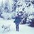 Anneka Knotts Morgan's profile image