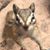 Debbie Mowery-Evans's profile image