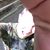 Christopher Morrow's profile image