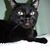 Janice Maahs's profile image