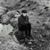 Karen Plath- Estes's profile image