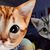 Ailicec Washuk's profile image