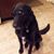 Kristi Hillegass Wallace's profile image