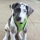 Tracy D.'s profile image