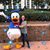 Lisa A Clapps's profile image