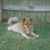 Valerie Cosse' Lacy's profile image