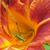 Charlene Ashcraft's profile image