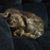 Mel Collova's profile image