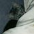 Denise A. Harlan's profile image