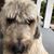Michelle La Rue-Williamson's profile image