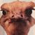 Mike Jones's profile image