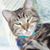 Cathy Pavlo Policare's profile image