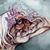 Shana LS's profile image