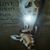 Dianne Fisher's profile image