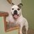 Dreama Henry McFadden's profile image