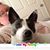 Robin Marberry Casey's profile image