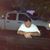 Cory Hillyard's profile image