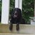 Kelly Phillips's profile image