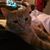 Carolyn Schunter's profile image