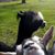 Shawn Ayres's profile image