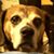 Therese Collette Campbell's profile image