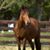 Amy Haiken's profile image