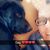 Terri Swanson's profile image