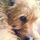 daphne.grant's profile image