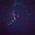 Colby Ellerman's profile image