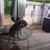 Betty E. McCullah's profile image